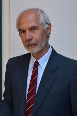 Massimo Palazzini