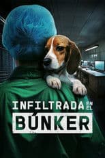 Undercover. Inside the Bunker