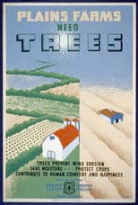 Windbreaks on the Prairies