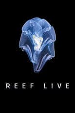 Reef Live