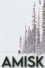 Amisk