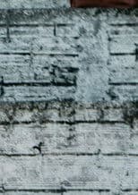 Das Cinzas às Cinzas