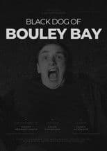 Black Dog of Bouley Bay