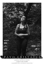 Pavo Cristatus