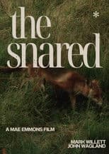 The Snared