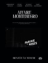 The Montenegro Affair