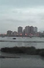 Moonlight in the River