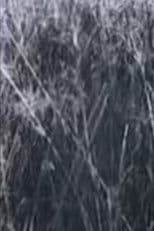 Return to the Sedge Fields