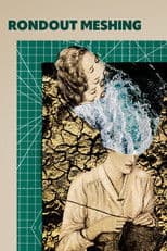 Rondout Meshing