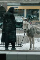 Looking Back Is Grace