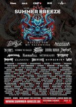 Subway To Sally: Live at Summer Breeze 2019