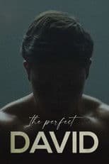 The Perfect David