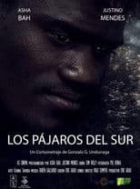 Los Pájaros del Sur