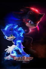 Sonic vs Shadow