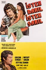 İster Darıl İster Sarıl