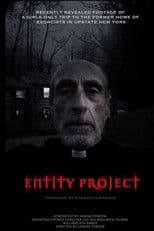 Entity Project