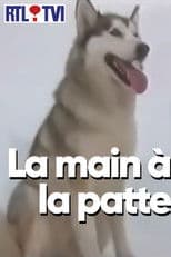 La main à la patte