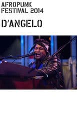 D'Angelo: Afropunk Festival