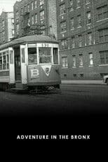 Adventure in the Bronx
