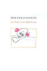 The Earth As Seen from the Moon