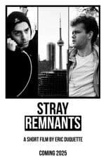 Stray Remnants