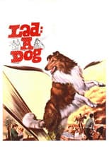 Lad: A Dog