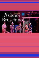 Il Signor Bruschino - Rossini in Wildbad