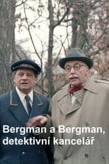 Bergman a Bergman, detektivní kancelář