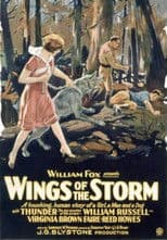 Wings of the Storm