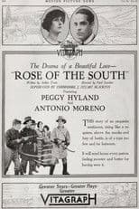 Rose of the South