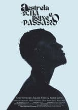 A Estrela-ilha e o Peixe-pássaro