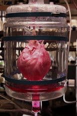 How to Build a Beating Heart