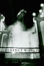 Perfect World