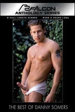 Best of Danny Somers