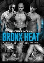 Bronx Heat