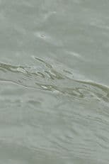 entre les vagues (un hommage)