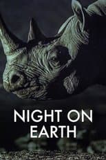 Night on Earth