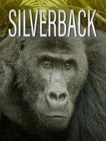 Silverback