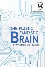 Plastic Fantastic Brain