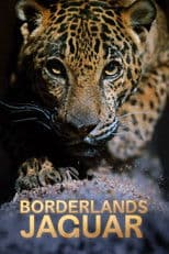 Borderlands Jaguar