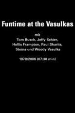 Funtime at the Vasulkas
