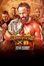 TNA Slammiversary XII