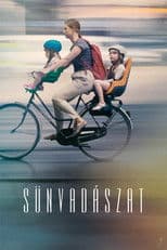 A Hunt For Hedgehogs