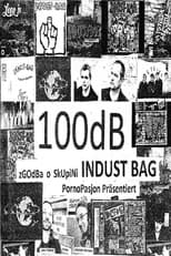 100dB Indust-bag