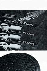 Manhattan by Numbers