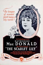 The Scarlet Lily