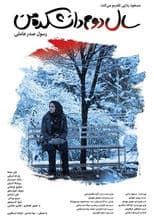 My Second Year in College