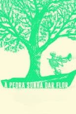 A Pedra Sonha Dar Flor