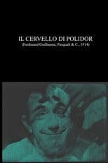 Il cervello di Polidor