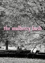The Mulberry Bush